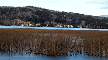 Room-luther King Grande Chambre Décor Mo
