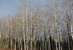 Room-luther King Grande Chambre Décor Mo