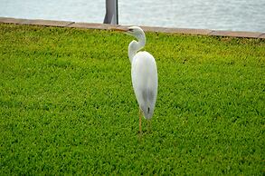 Waterfront Luxury Villa With Sunset Views And Boat Slip 3 Bedroom Town