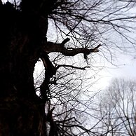 Holiday Home Paunovaca