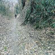 Holiday Home Paunovaca