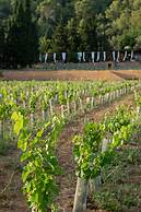 Rondaia Suites & Villas