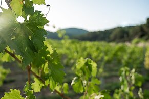 Rondaia Suites & Villas