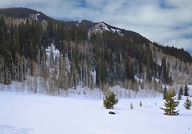 Timberfalls 1902 2 Bedroom Condo by RedAwning