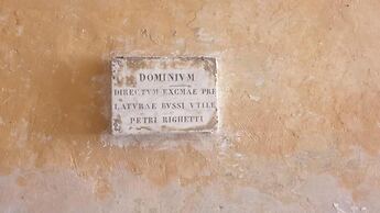 MAGENTA COLLECTION ARGENTINA