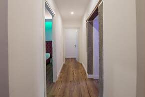 MAGENTA COLLECTION ARGENTINA