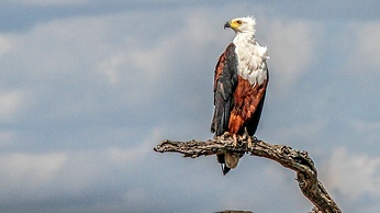 SleepOver Phabeni Gate