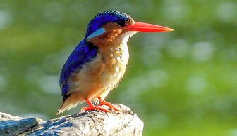 SleepOver Phabeni Gate