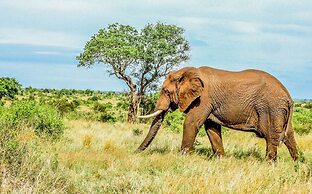 SleepOver Phabeni Gate