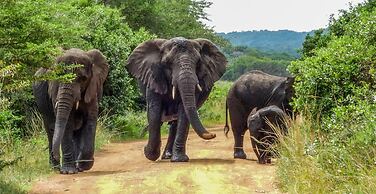 SleepOver Phabeni Gate