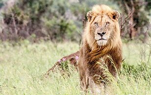 SleepOver Phabeni Gate