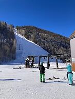 Lift 7 Ski In/out Hot Tub, Ski Locker, Garage Parking + Shuttle To Gon