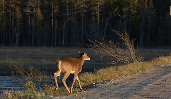 Picturesque Island Cottage 2 Bedroom Home by RedAwning