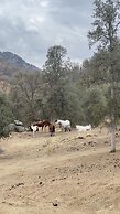 Off-grid 1-bed Cabin in Yokuts Valley