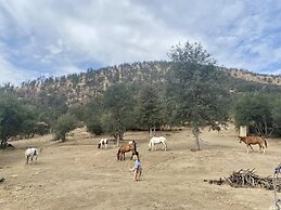 Off-grid 1-bed Cabin in Yokuts Valley