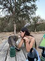 Off-grid 1-bed Cabin in Yokuts Valley