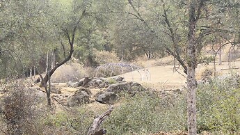 Off-grid 1-bed Cabin in Yokuts Valley