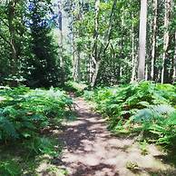 Beautiful 6-bed Dog Friendly Cottage in Heacham