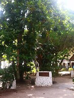 Mambo Ocean Resort