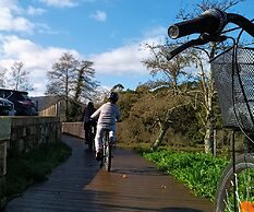 Donna Nega Alojamento Local