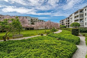 Spacious viaduct sancturary