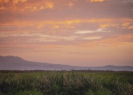 Doho lodge & Hotsprings