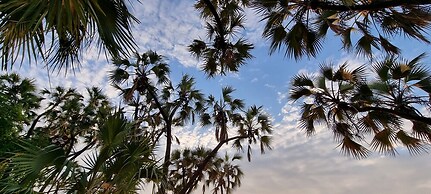 Doho lodge & Hotsprings