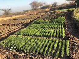 Doho lodge & Hotsprings