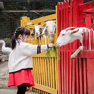 Wonderland Resort, Hangzhou Jiande, A Tribute Portfolio Resort