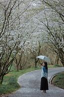 Wonderland Resort, Hangzhou Jiande, A Tribute Portfolio Resort