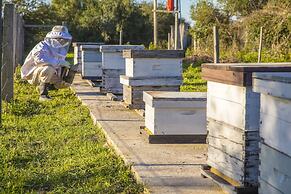 Estancia San Agustín