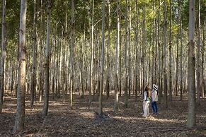 Estancia San Agustín