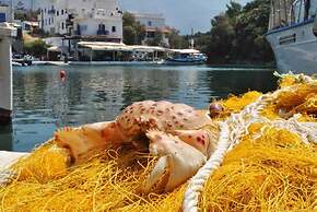 Spotless Apt in the Heart of Sisi