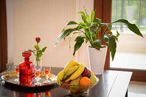 Spotless Apt in the Heart of Sisi