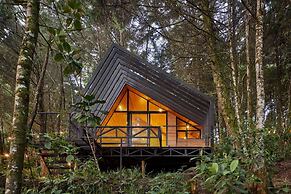 OCULTO REFUGIO DE BOSQUE