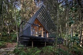 OCULTO REFUGIO DE BOSQUE