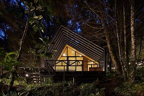 OCULTO REFUGIO DE BOSQUE