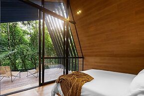 OCULTO REFUGIO DE BOSQUE