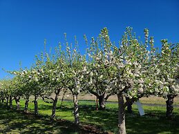 Casia Lodge and Ranch