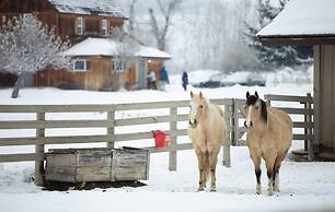 Casia Lodge and Ranch