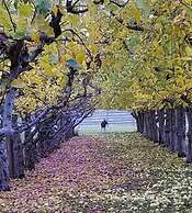 Casia Lodge and Ranch