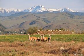 Casia Lodge and Ranch