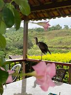 Fazenda Santa Amalia