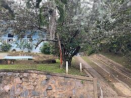 The Ocean Blue Beach House