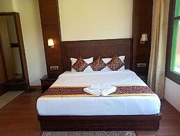 Misty Mountains Manali