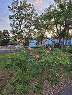 Kyriad Direct Lyon Nord - Dardilly