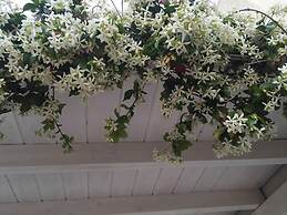 Ground Floor Mini apt