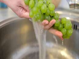 Apartments Blue Lavender