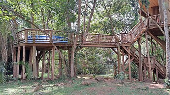 Tree House with a Pool