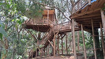 Tree House with a Pool